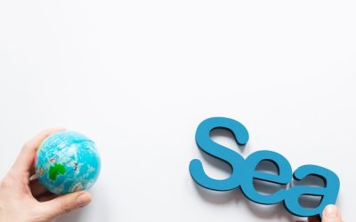 Surviving the Sea Change in SERPs: A Savvy Take on E-commerce SEO